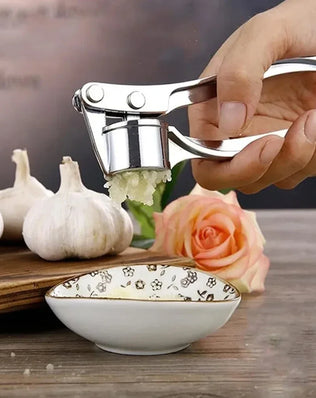 Kitchen Gadgets Garlic Press Stainless Steel Garlic Mincer Garlic Peeler and Cleaning Brush Ginger Peeler Household Tools - Problems Solved
