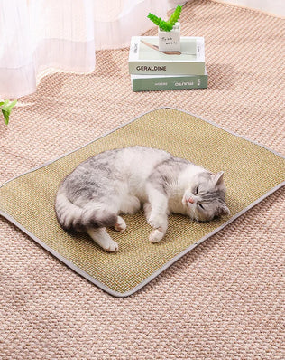 Summer Cooling Gel Pad for Dogs Cats Non Slip Pet Mat Heat Relief Washable Bamboo Bedding Indoor Outdoor Use - Problems Solved