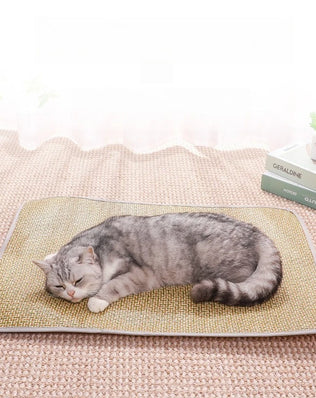 Summer Cooling Gel Pad for Dogs Cats Non Slip Pet Mat Heat Relief Washable Bamboo Bedding Indoor Outdoor Use - Problems Solved